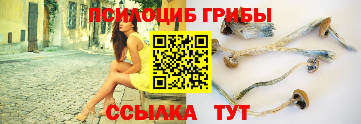 Галлюциногенные грибы MAGIC MUSHROOMS  Вход с VPN  Пермь  Псилоцибиновые грибы мицелий 
